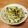 ◯゜まきんこ゜◯'s cooksnap of when they made エコ飯☆大根の葉の『菜めし』.