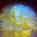 雪だるまんじゅう's cooksnap of when they made 絶品！ごま油で白菜の味噌汁！！.