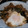 ちゃちゃみゆこ's cooksnap of when they made 鶏とわけぎのすき焼き風.