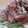 ひよじる's cooksnap of when they made 水菜としらすのサラダ－梅肉ドレッシング－.