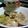 サンソン's cooksnap of when they made 鶏の治部煮.