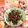 みなみんくっきんぐ's cooksnap of when they made すじこの海苔弁風お楽しみ二段丼.
