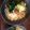 あーるまーく's cooksnap of when they made 寒い冬に！さっぱり梅うどん！.