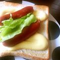 shizuとreo's cooksnap of when they made 簡単 ウィンナートースト.