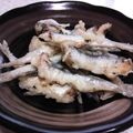 yanguchi's cooksnap of when they made こいわしの天ぷら　～旬の味パート２～.