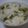 emiママ's cooksnap of when they made 春の豆ご飯.