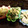りさりー's cooksnap of when they made ほうれん草と牛肉の元気になる卵とじ.