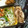 ふなここ's cooksnap of when they made 簡単＊やみつき＊豚のしょうが焼き♪.