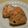 msft5632's cooksnap of when they made 鮭の混ぜ込みおにぎり.