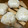 あまいこびと's cooksnap of when they made 角煮の煮汁で☆美味しい豚角煮炊き込みご飯.