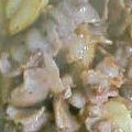 みちかな's cooksnap of when they made 筍と豚肉の塩バター炒め.