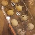 うどんどん's cooksnap of when they made ☆手づかみ離乳食☆卵ﾊﾟｯｸDEおにぎり.