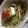 みほきのこ's cooksnap of when they made 水菜と豆腐の簡単サラダ～ごまドレッシング.