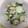 輝くくまさん's cooksnap of when they made 簡単！ツナとわかめときゅうりのサラダ.