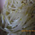 ぽんlove's cooksnap of when they made レンジで簡単！もやしのナムル.