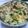 こゅん♪'s cooksnap of when they made チラガーの炊き込みご飯.