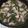 mijko's cooksnap of when they made 納豆のたれで親子丼♪.