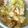 リース♪'s cooksnap of when they made 塩辛レタスチャーハン♪.