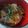 chippy66's cooksnap of when they made アジのふんわり蒲焼丼.