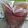 rinsoumama's cooksnap of when they made 牛タン塩を焼く前に！簡単臭み抜き♪.