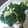 とむひま's cooksnap of when they made 小松菜と油揚げの炒め物.