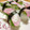Kaz0731's cooksnap of when they made 蕪のにぎり寿司.