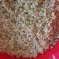 ぎんくろこた's cooksnap of when they made ルクエで玄米ご飯.