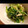 岩手のまま's cooksnap of when they made 三つ葉とえのきの煮びたし★柚子風味.