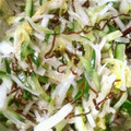 あげはっちゃん's cooksnap of when they made 白菜・大根・きゅうりのゆず塩こんぶ漬け☆.