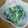 ミセスkei's cooksnap of when they made あすっこのゴマ＆マヨネーズ和え.