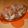 piro55's cooksnap of when they made 超簡単！新たまねぎコロコロ煮？.