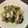 宇宙人ピピの母's cooksnap of when they made あさりとほうれん草のにんにく炒め.