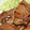 どら。's cooksnap of when they made 簡単＊やみつき＊豚のしょうが焼き♪.