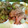 aochaaan's cooksnap of when they made ２色さつまいもの簡単蒸しケーキ＊.
