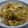 reiyan1956's cooksnap of when they made 白菜漬けに飽きたらコレ!!.