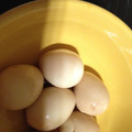 necco57's cooksnap of when they made 簡単！半熟うずらの味玉.