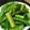 はちみつココア's cooksnap of when they made 青のきんぴら.