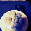 kik3958's cooksnap of when they made 柔らか生地で簡単♪クリーム大福♪.