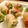 いつも食べてたい's cooksnap of when they made アボカドとクリームチーズの生春巻き.