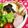 キャシーキャサリン's cooksnap of when they made すし太郎✿炒り卵入りのおにぎり.