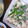 もはー's cooksnap of when they made 豆腐とにらのとろっと丼.
