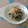トマトマナ's cooksnap of when they made ルクエで水菜とえのきのおひたし風☆.