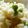 もも茶's cooksnap of when they made 豆ごはん.