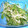 きゅーい's cooksnap of when they made 柚子胡椒で水菜のサラダ☆.