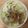 かおり♡♡♡'s cooksnap of when they made 春キャベツとツナのクリームパスタ★.