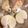 悠LOVE航's cooksnap of when they made 無駄が少ない玉ねぎの皮むき.