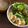 ※ぴーまん's cooksnap of when they made 【減塩】焼肉のたれでサラダうどん.