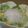 モコモコモモコ's cooksnap of when they made 新玉ねぎのサラダ.