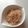 のんち＾－＾'s cooksnap of when they made 新玉ねぎの梅サラダ.