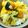 ANN17's cooksnap of when they made ＊炊飯器でかぼちゃご飯＊.